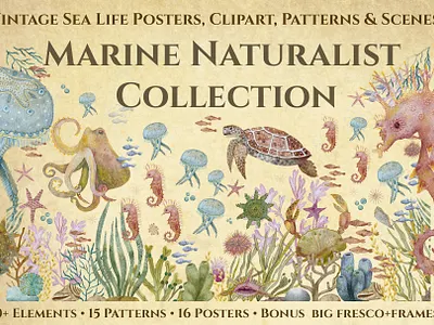 Marine Naturalist Collection design digital watercolor element graphic design hand drawn illustration pattern poster surface design