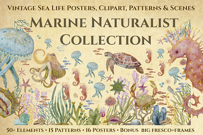 Marine Naturalist Collection design digital watercolor element graphic design hand drawn illustration pattern poster surface design