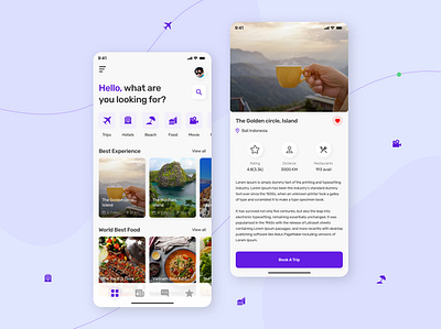 Trips planning themes faisalbhatti product design uiux design