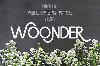 Woonder [2 Font] alternates branding logo brush brushed display font geometric bonus hand drawn hand lettering invitation modern calligraphy sans serif vintage woonder [2 font]