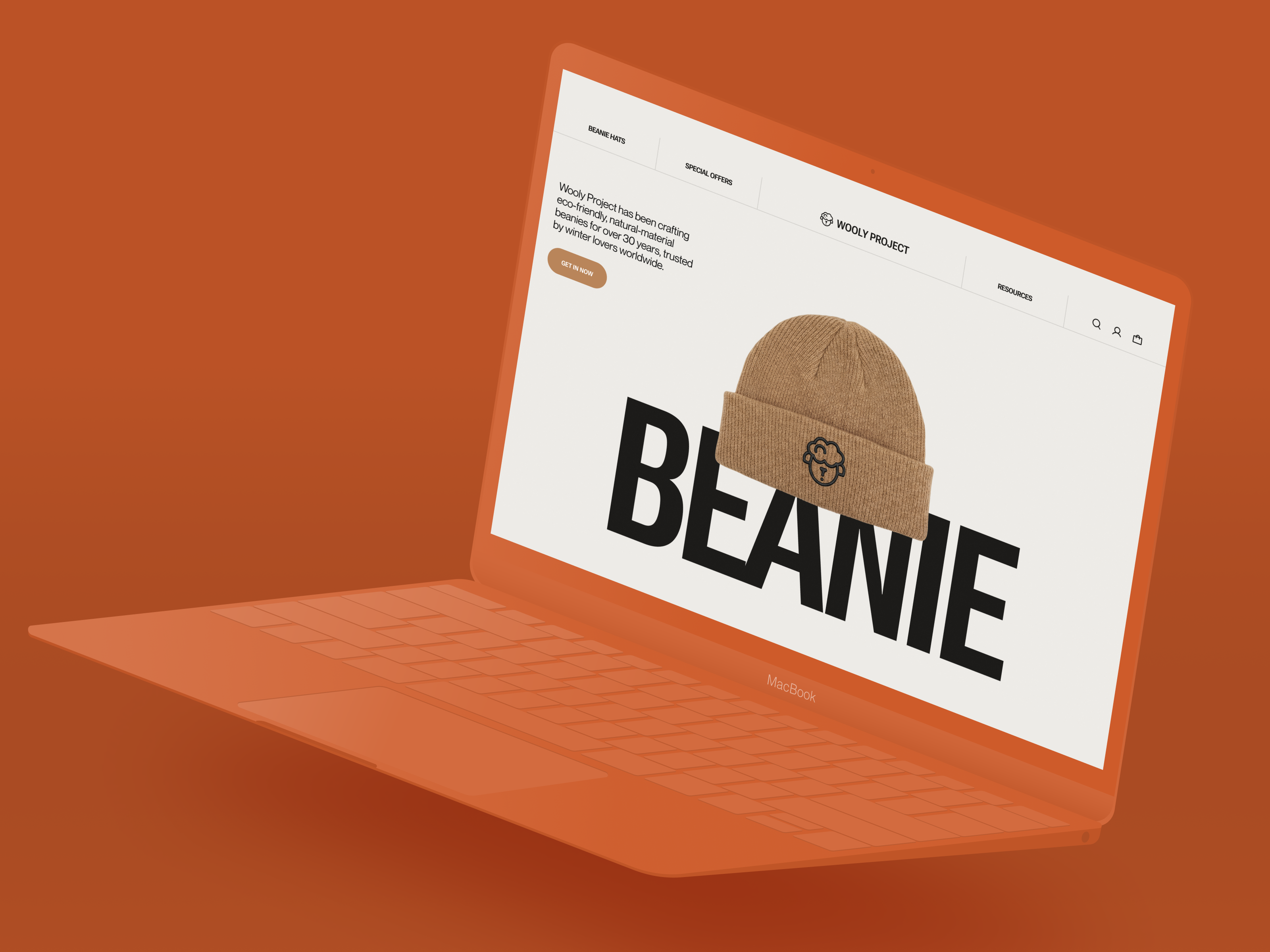 Example of Website Development
