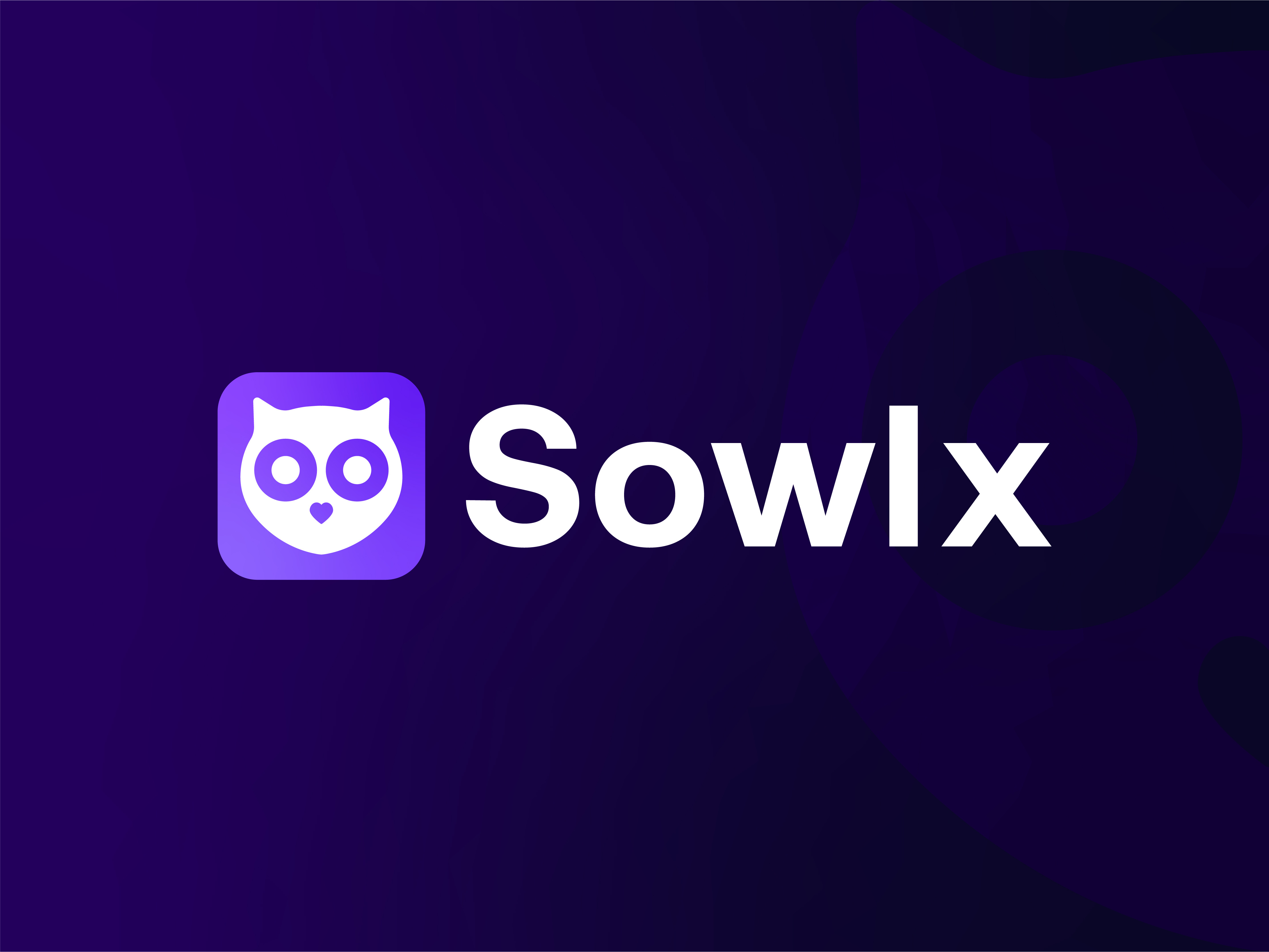 Example of Premium Logo Design Package