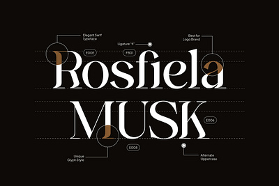 Ginka Voraxe – Modern Stylish Serif branding design elegant font font fonts free font illustration lettering ligatures logo logotype modern font serif serif font stylish serif type type design typeface typography ui