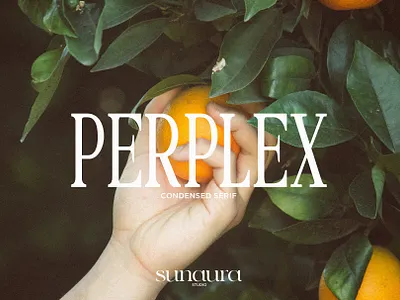 PERPLEX - Condensed Serif Typeface aura condensed logotype moon perplex sun type design