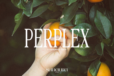 PERPLEX - Condensed Serif Typeface aura condensed logotype moon perplex sun type design