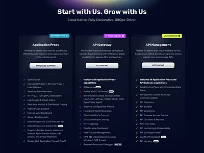 Traefik Pricing Page columns dark design marketing page plans pricing tiers ui web