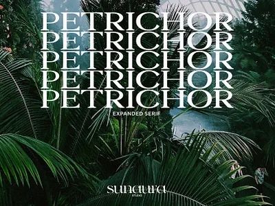 Petrichor - Expanded Serif expanded logotype petrichor