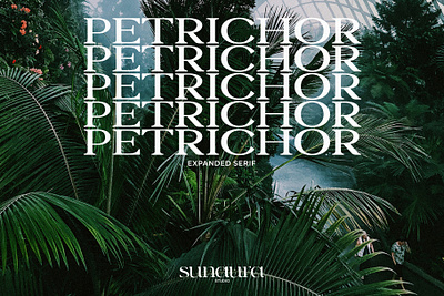 Petrichor - Expanded Serif expanded logotype petrichor
