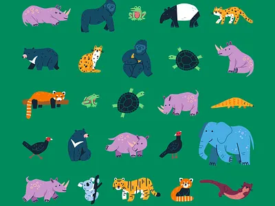 Rhinoshield × Taipei Zoo — Animal Illustrations animal illustration animals bear character design elephant frog gorilla koala leopard otter pangolin red panda rhino tapir tiger turtle zoo