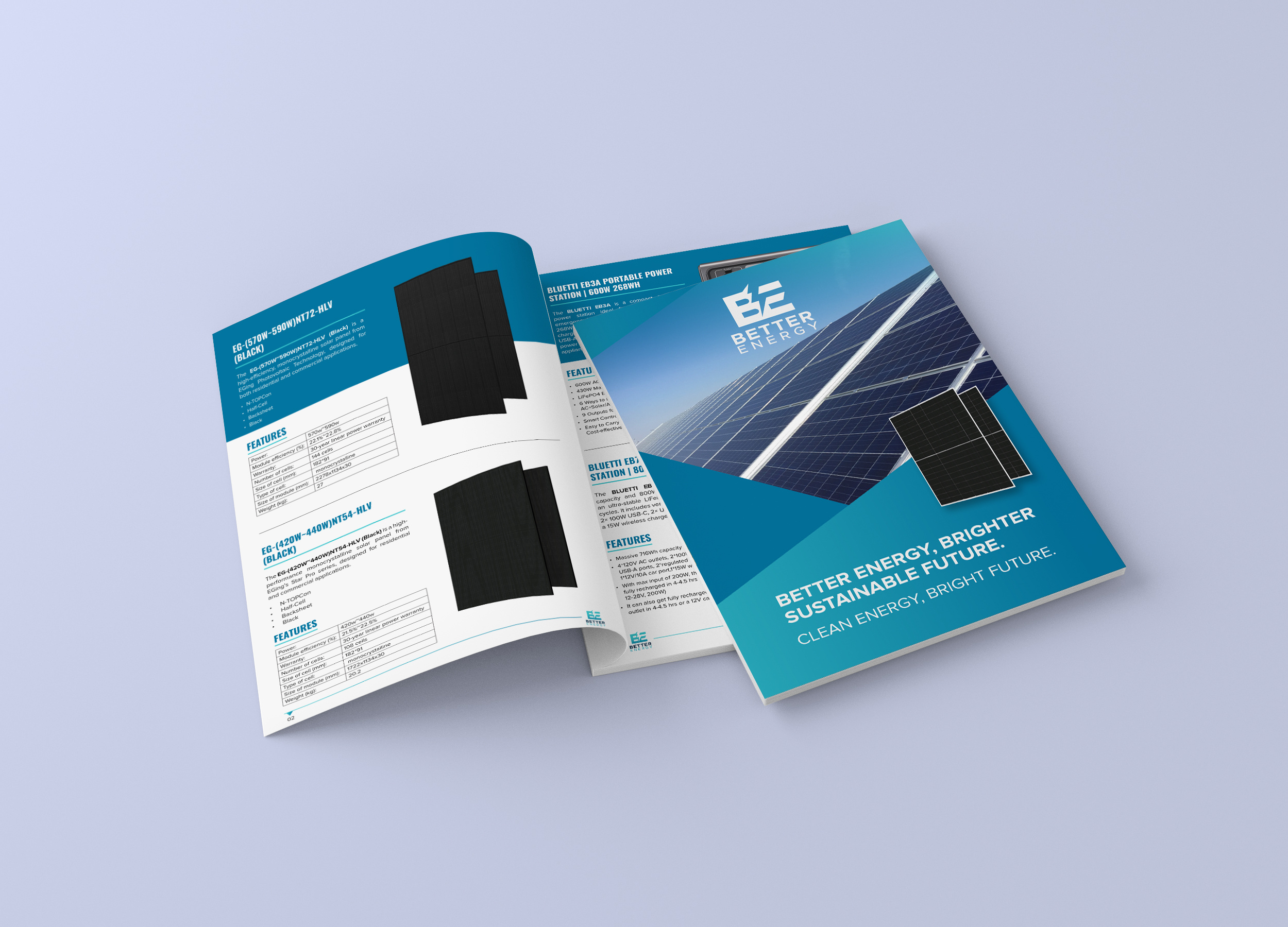 Example of Professional Brochure & Booklet Design