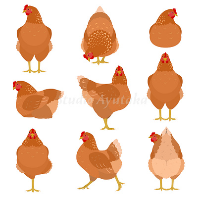 Set of brown chickens in various poses animal birds cartoon chicken clipart cute design farm animals graphic design illustration