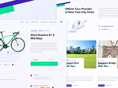 BikeRent NYC bike bikerental branding card chart dashboad dashboard design ecology graphic design illustration logo nyc rent scooter ui
