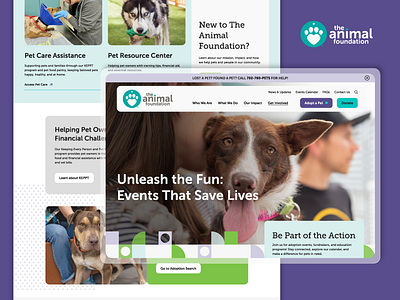 Nonprofit Website Design - The Animal Foundation adopt animal animal foundation branding charity contribution design foundation graphic design impact mission non profit nonprofit nonprofit website design pets services ui volunteers web design webdesign