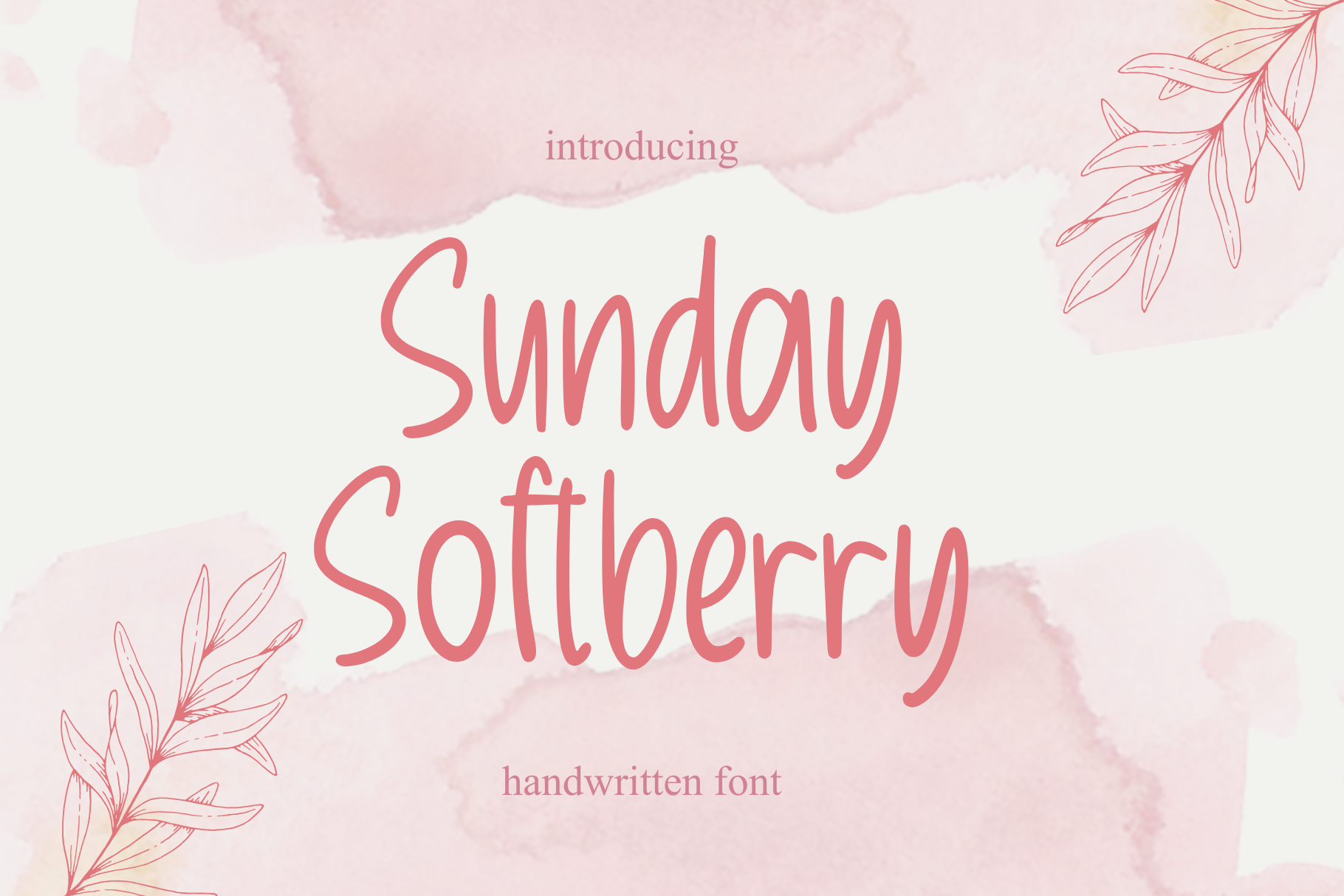 Sunday Softberry Monoline Font branding design font graphic design illustration logo monoline script softberry sunday