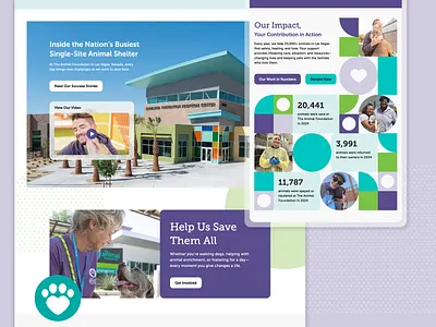 Nonprofit Website Design - The Animal Foundation adopt animal foundation animals charity community design foundation impact mission non profit nonprofit nonprofit website design pets programs services sheltering ui volunteer web design webdesign