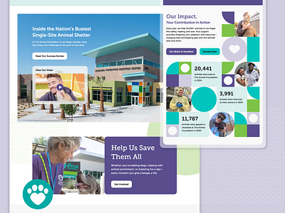 Nonprofit Website Design - The Animal Foundation adopt animal foundation animals charity community design foundation impact mission non profit nonprofit nonprofit website design pets programs services sheltering ui volunteer web design webdesign