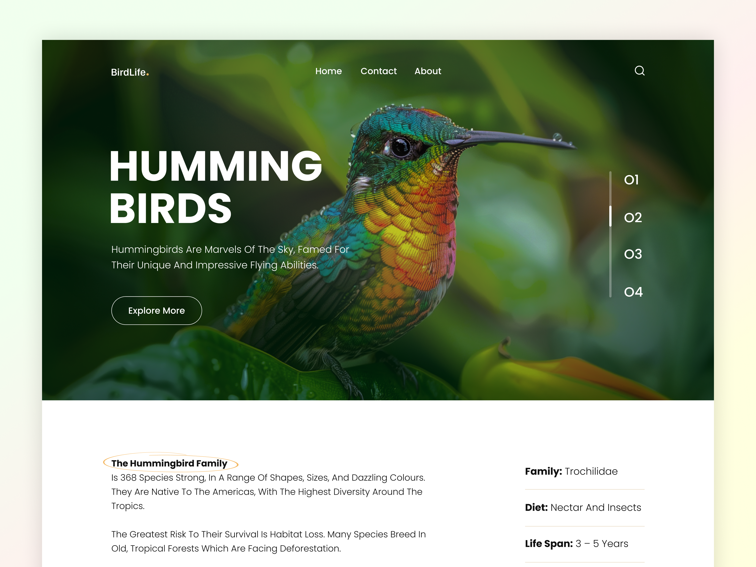 BirdLife – Hummingbird Website Design animal website bird photography website concept birdlife clean environmental design hero section ui concept hummingbird website design landing page minimal design minimal nature website modern web design inspiration nature nature landing page ui naturedesign responsive wildlife homepage ui ux nature theme uiux webdesign wildlife wildlife conservation web design wildlifewebsite