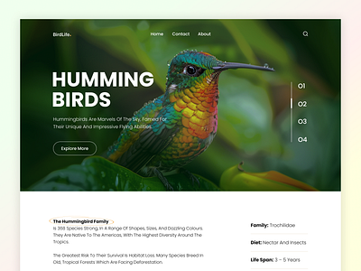 BirdLife – Hummingbird Website Design animal website bird photography website concept birdlife clean environmental design hero section ui concept hummingbird website design landing page minimal design minimal nature website modern web design inspiration nature nature landing page ui naturedesign responsive wildlife homepage ui ux nature theme uiux webdesign wildlife wildlife conservation web design wildlifewebsite