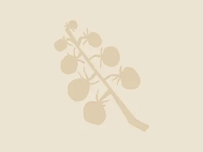 Sungold Kitchen brandidentity branding foodbranding foodprep garden graphic design graphicdesign grow illustration kitchen logo mealservices motion graphics retro simple summer sungold texture tomato