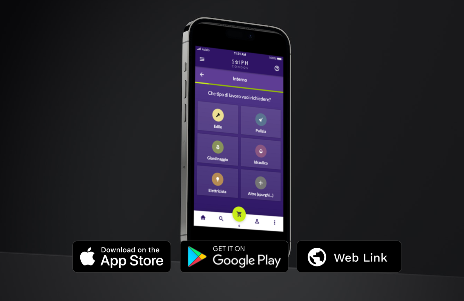 Web App Design branding graphic design logo