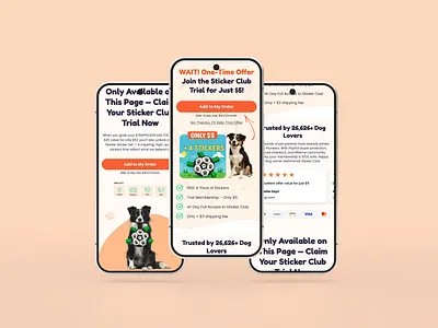 Subscription Offer mobile design graphic design illustration ui ui design