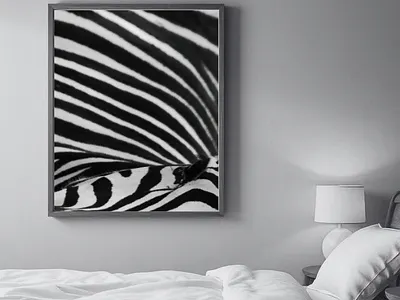 Zebra Rhythm art design graphic design illustration wall art
