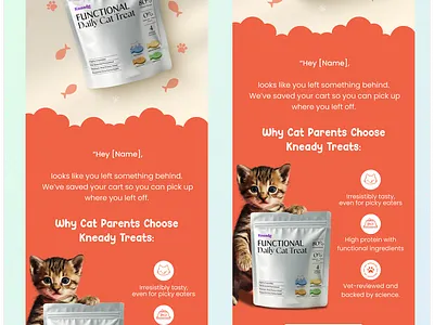 Klaviyo email newsletter | Figma Email design email deisgn figma figma email figma email template figma newsletter design klaviyo klaviyo email design klaviyo newsletter design