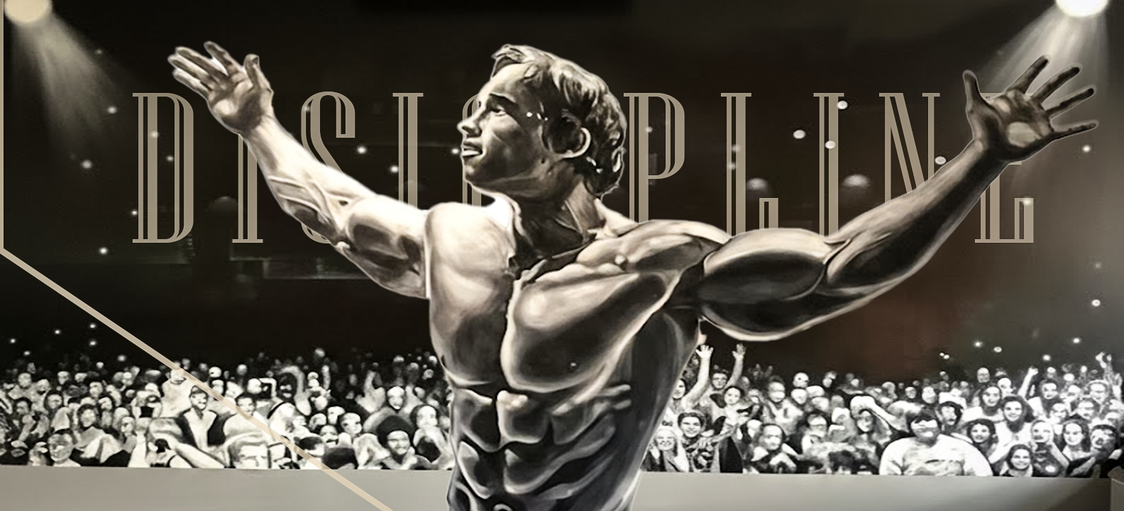 THE BODY PROJECT PRINTABLES 3d adobe photoshop banner design fitness banner fitness centers. fitness graphics fitness quotes graphic design high quality designes landescape design printables printing