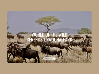 Immersive scroll 🦓 🌳 africa hero immersive oswald pill button scale scroll serengeti transition