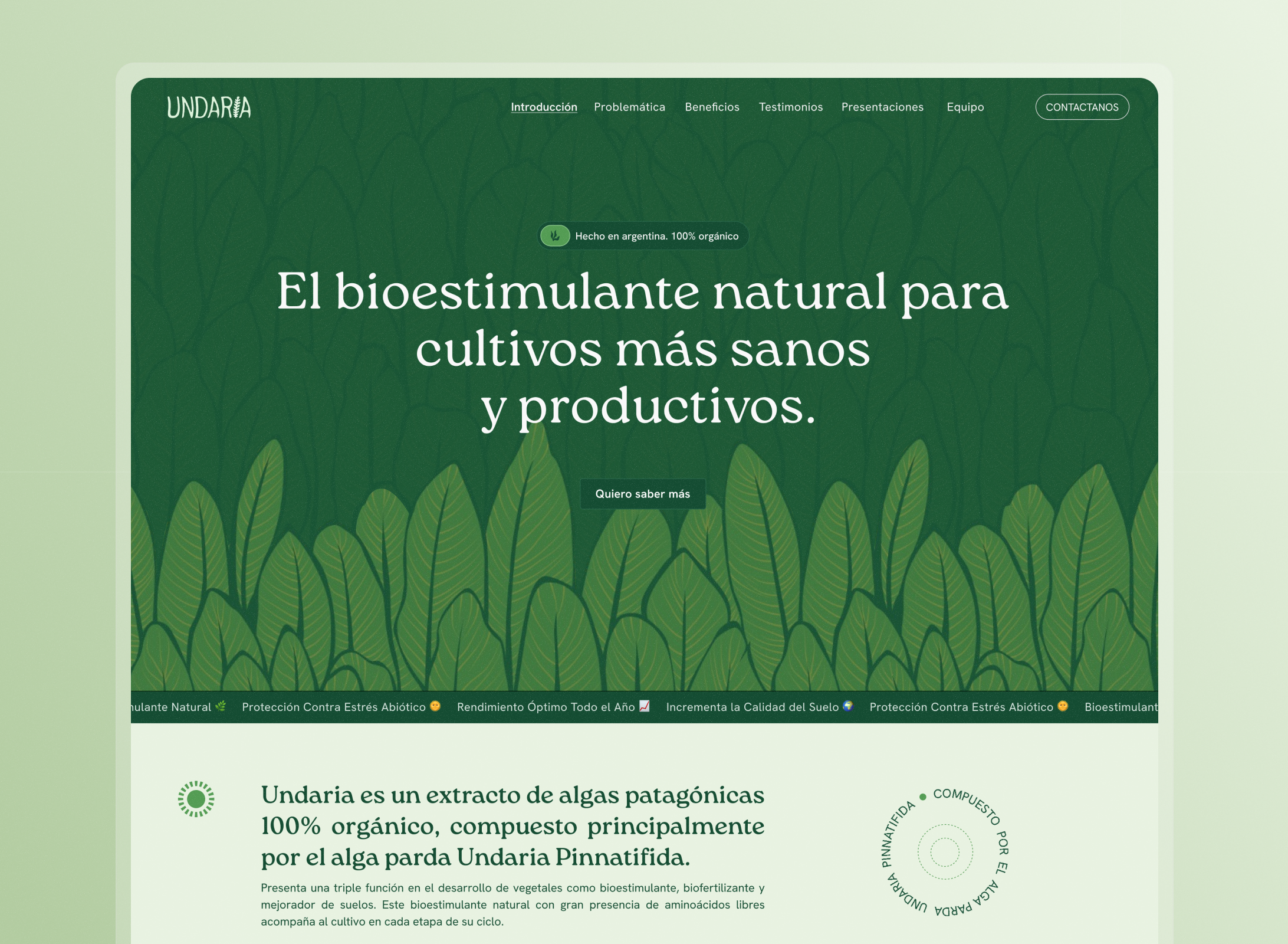 Undaria 🌱 to the rhythm of nature development graphic design nature ui webdesign