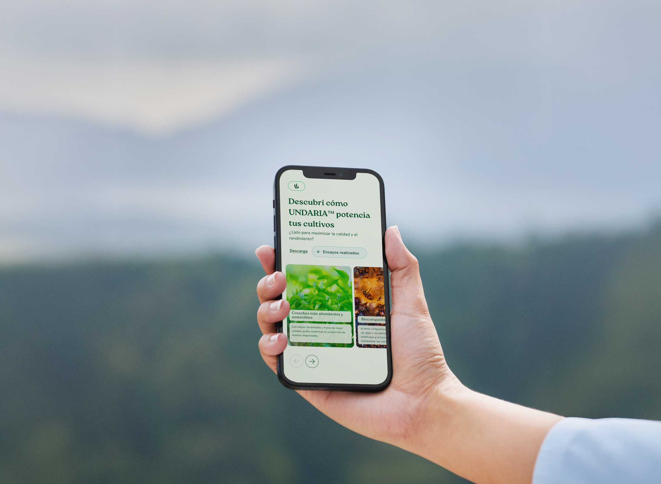 Undaria 🌱 to the rhythm of nature development nature ui ux webdesign
