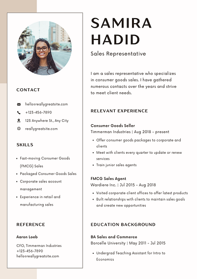 Resume Writting Designs, Themes, Templates And Downloadable Graphic 