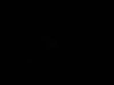 Logo Reveal Animation 3d affter effect animation graphic design logo logo animation logo desgin motion graphics