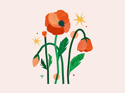 Poppy adobe illustrator adobe photoshop botanical digital art flower green illustration nature poppy red textures vector art yellow