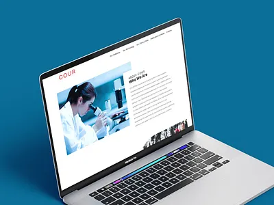 Data Meets Design creative design design ui ux web design web development website design