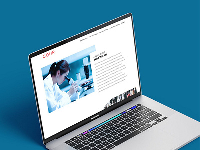 Data Meets Design creative design design ui ux web design web development website design