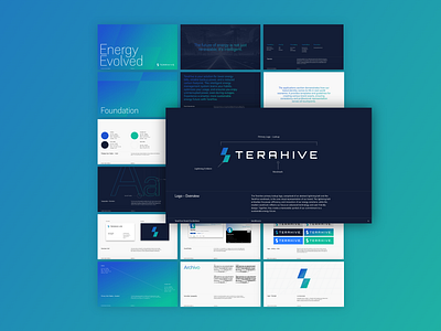 Branding & Visual Identity for TeraHive branding branding guidelines design logo visual identity