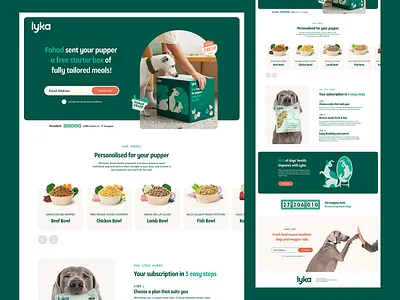 Lyka - Landing page landing page ui ux web design website