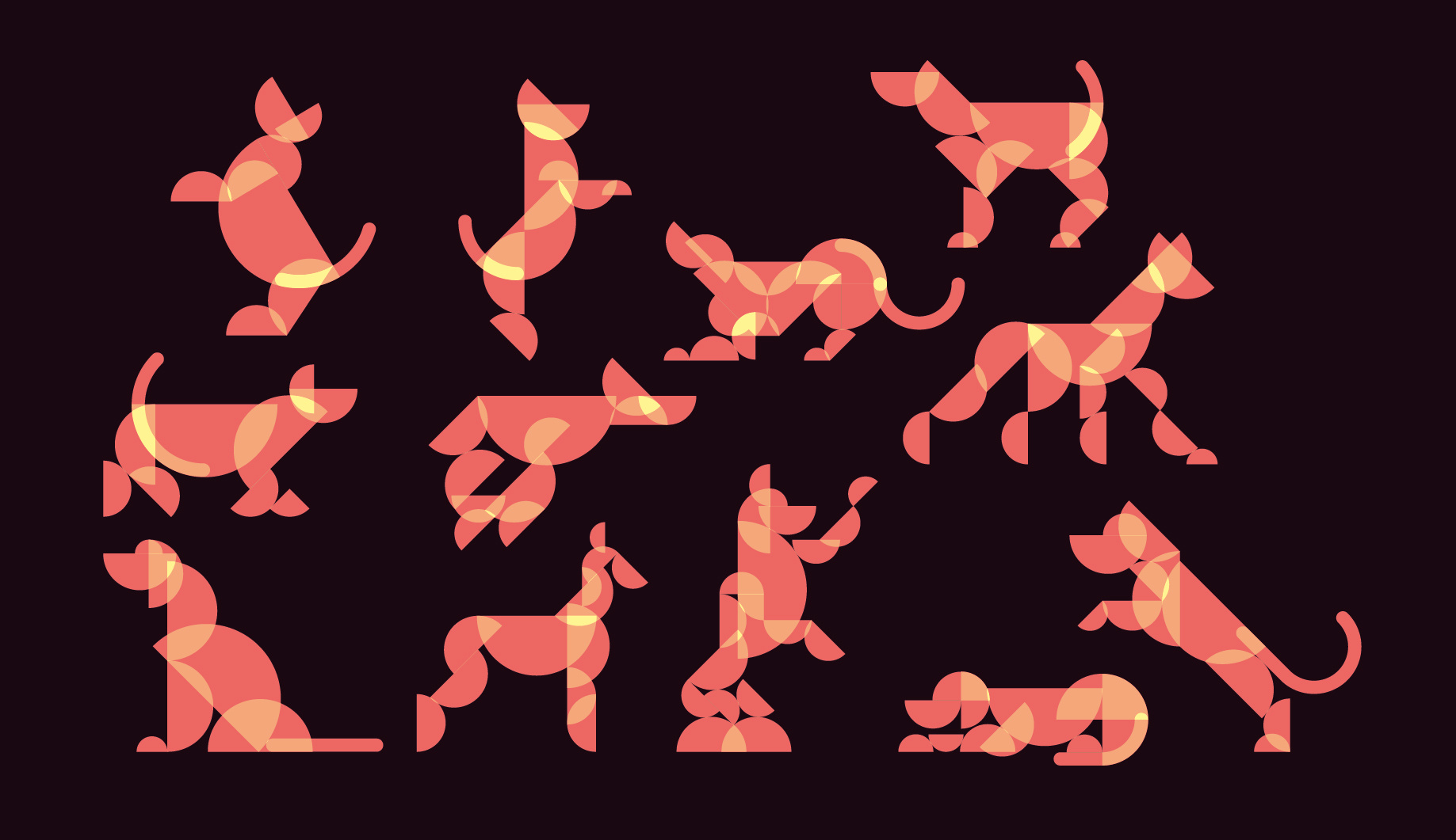 pawhaus animal bauhaus dog dogs geometric illustration minimalism poses vector