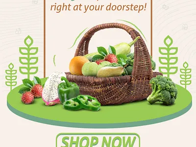 Meta Ads for The Organic World advertisment graphic design