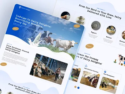 Dairy Delight Farm Website branding cow milk dairy dairy company dairy firm landing page milk products ui ui designer ui trends user experience design user interface design ux web designer