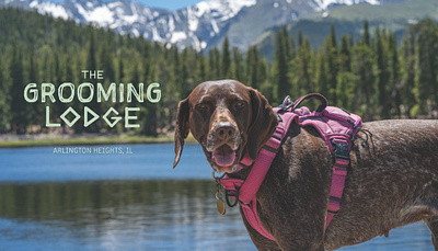 'The Grooming Lodge' Brand Refresh design generative ai graphic design logo rebranding typography