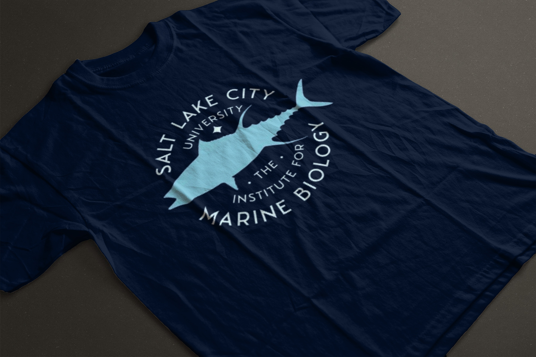 Example of T Shirt And Merch Illustration