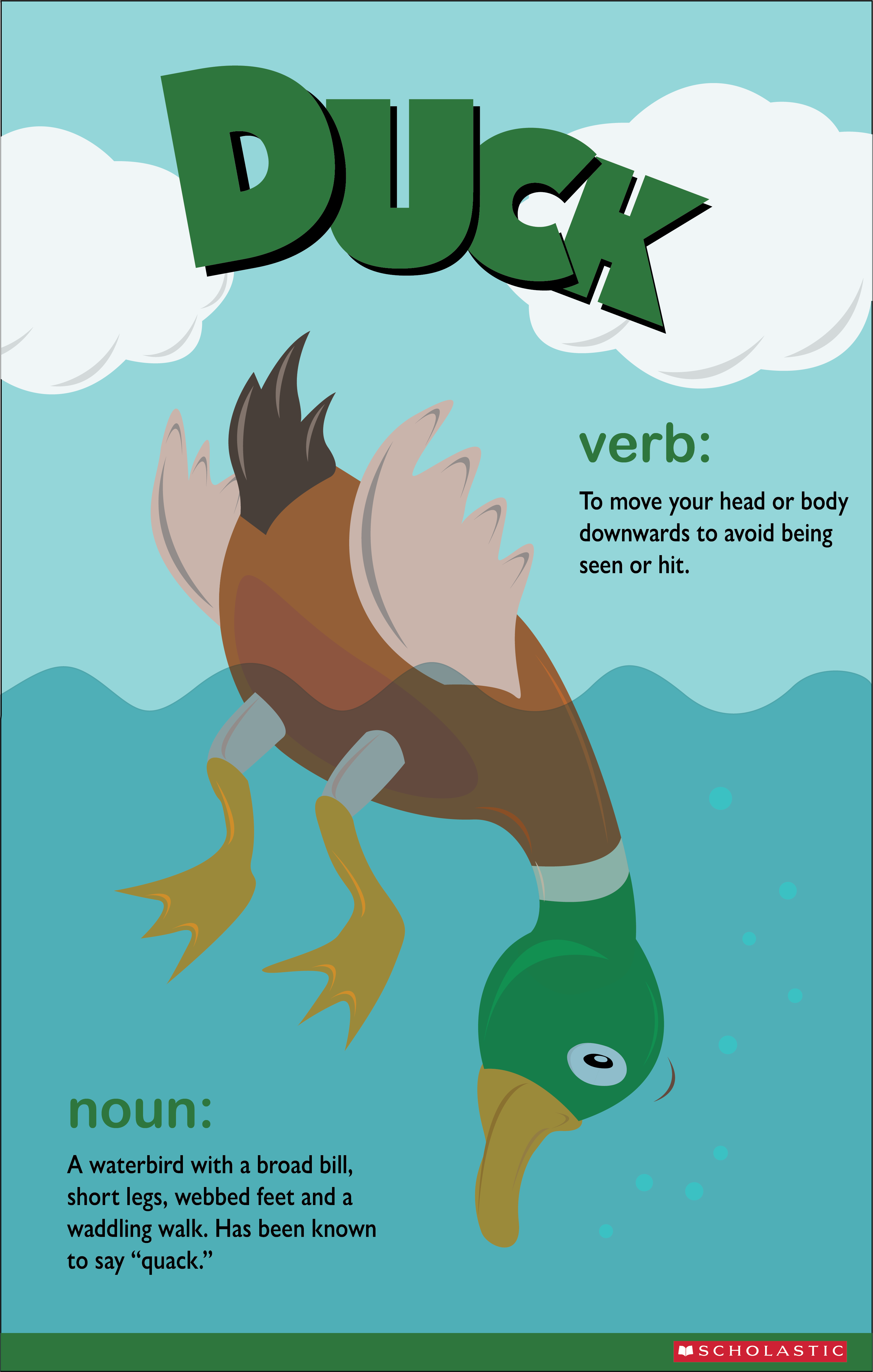 Educational Grammar Poster Series color design educational graphic design illustration poster typography vector