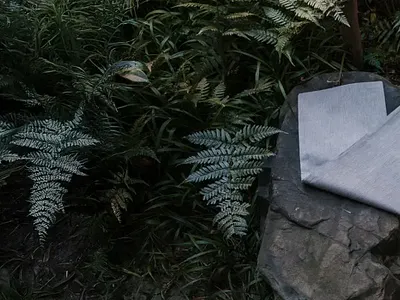 Aizome Shopify ecommerce store development by 3oneseven css design ecommerce html illustration shop shopify store ui webdesign