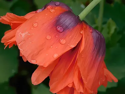 BIEN moves Shopify ecommerce store development by 3oneseven css design ecommerce html illustration shop shopify store ui webdesign