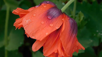 BIEN moves Shopify ecommerce store development by 3oneseven css design ecommerce html illustration shop shopify store ui webdesign