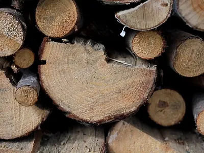 Meerklang – Manufaktur für Klanginstrumente Shopify store css design ecommerce html illustration shop shopify store ui webdesign