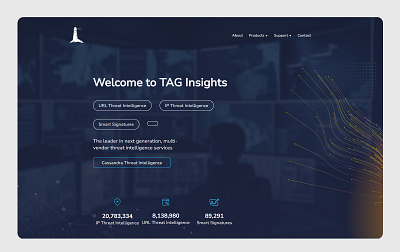 TAG Insights business cyber design finance graphic design graphicdesign information technology landing page marketing security webpage website