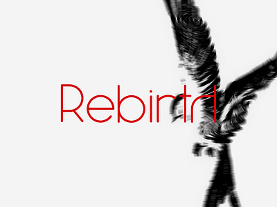 Rebirth — Visual Metamorphosis design inspiration dribbble design minimalist modern abstract visual identity typography poster design